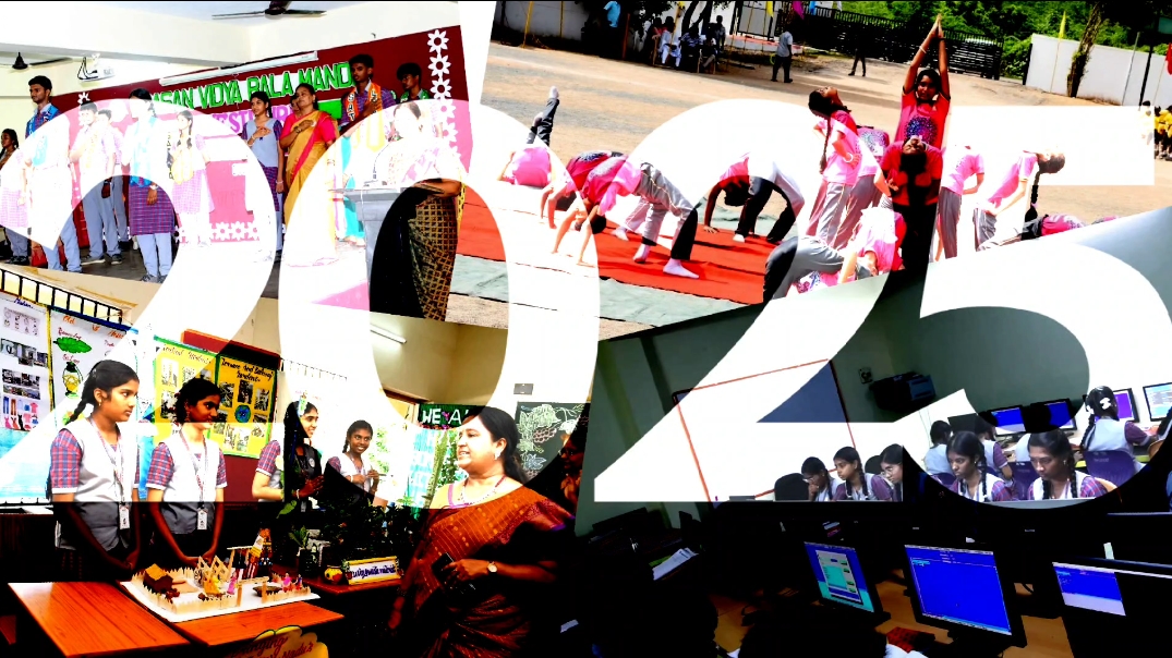 Gallery 2025