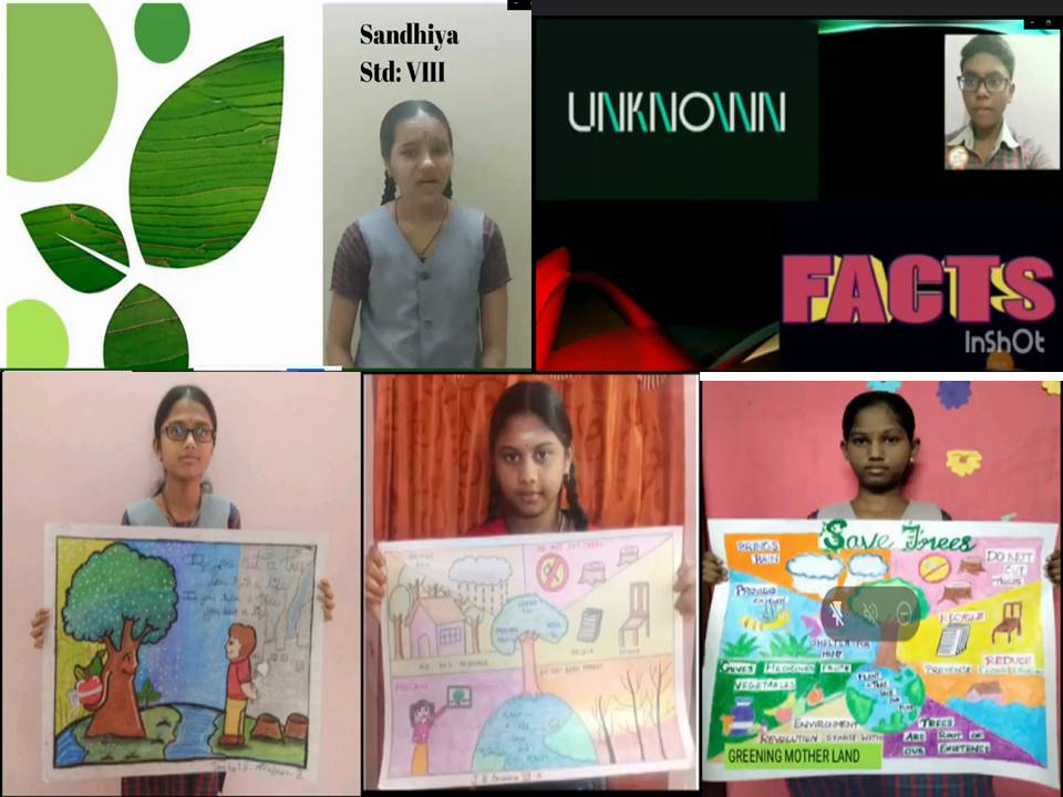 Social science is the study of society and the manner in which people behave and influence the world around us. Kids beautifully presented with their creative drawing how to save trees.