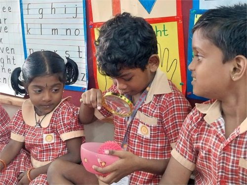 Bright eyes observed and discovered with wonder (1)