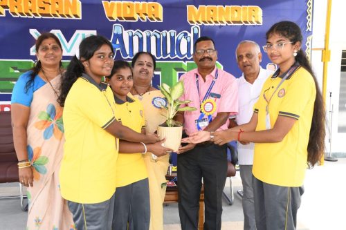 Symbolizing growth, gratitude and respect