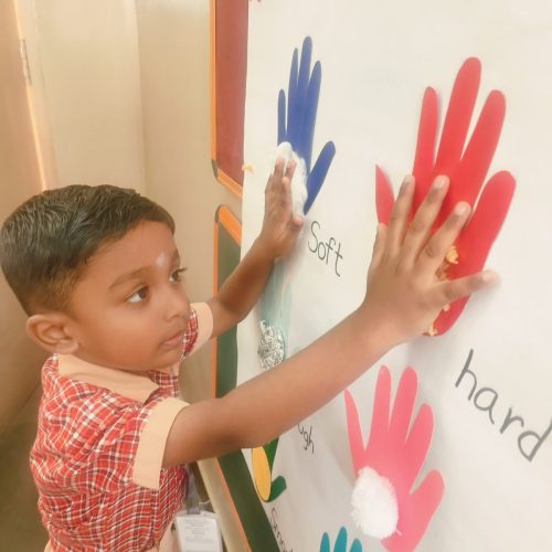 Tiny hands discovered textures through touch (1)